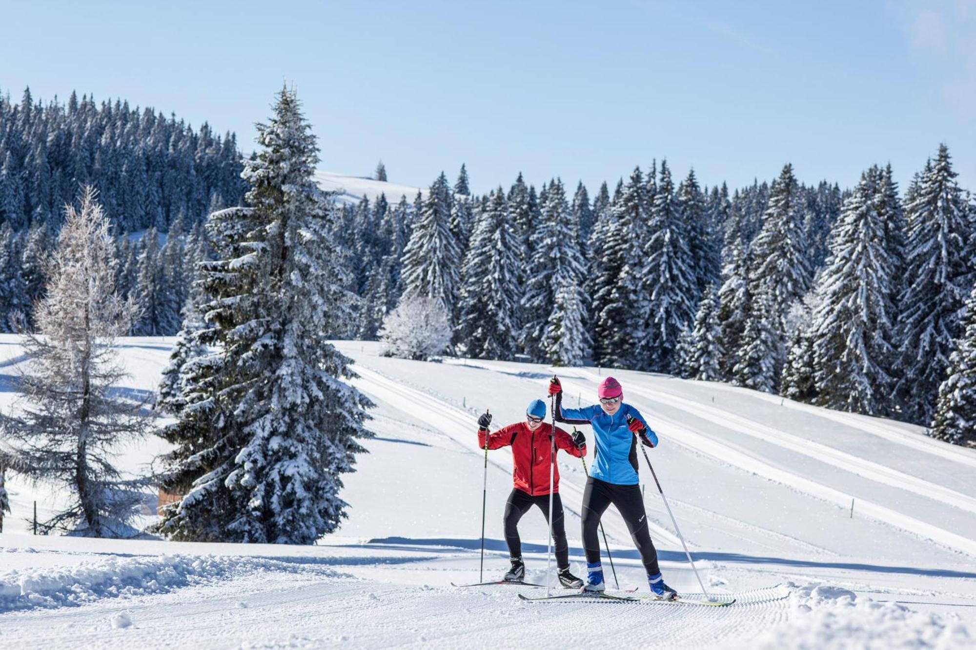 Ferienwohnung Seeblick Nr 5, 2 Zi-Baerental, Feldberg Rotwasser 외부 사진