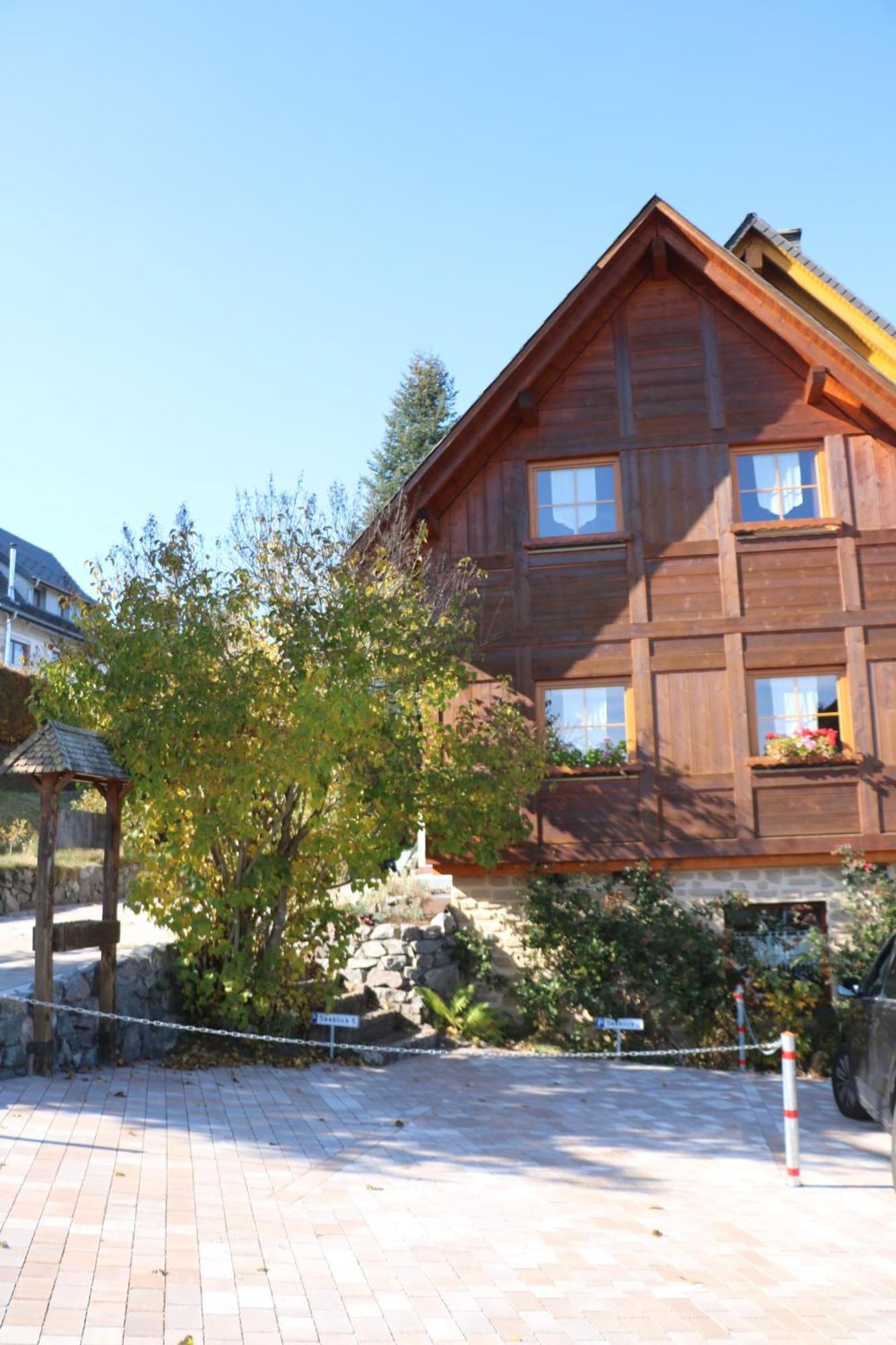 Ferienwohnung Seeblick Nr 5, 2 Zi-Baerental, Feldberg Rotwasser 외부 사진